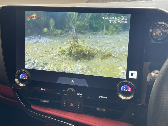 ＮＸ４５０h+Ｆスポーツ 医療法人1オーナー