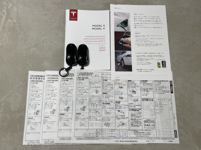 モデルX　P100D 法人1オナ・OP263万総額2,000万