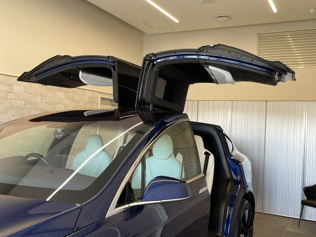 モデルX　P100D 法人1オナ・OP263万総額2,000万