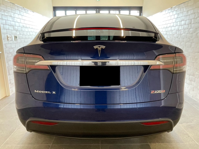 モデルX　P100D 法人1オナ・OP263万総額2,000万