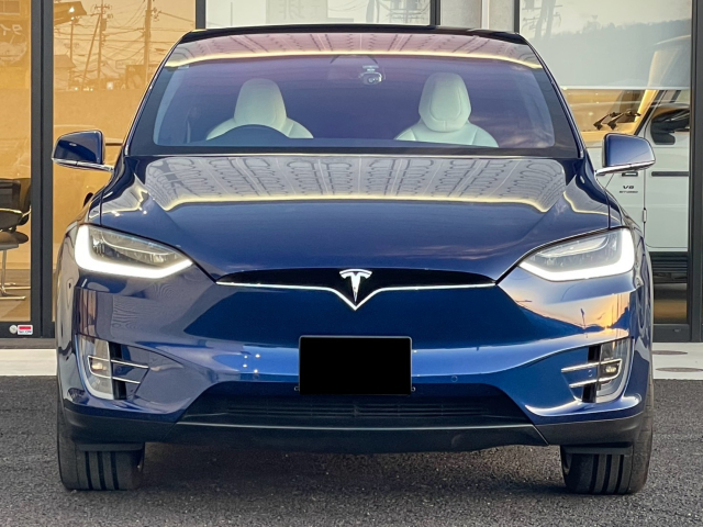 モデルX　P100D 法人1オナ・OP263万総額2,000万