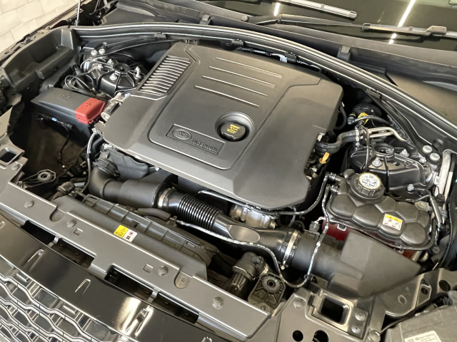 RﾀﾞｲﾅﾐｯｸS D200 【走行96KM！】